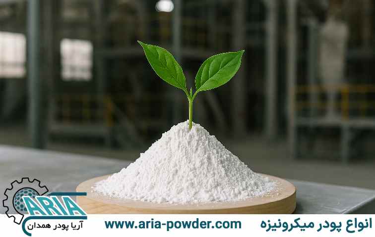 تأثیر پودرهای میکرونیزه در محیط زیست